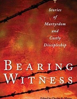 9780874867046 Bearing Witness : Stories Of Martyrdom And Costly Discipleship