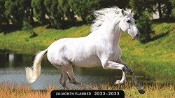 9781648700224 Horses 2022 2023 28 Month Planner