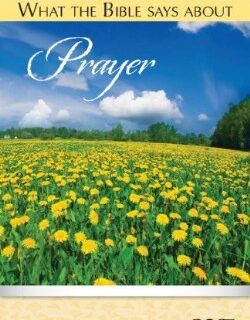 9781596364561 What The Bible Says About Prayer Pamphlet