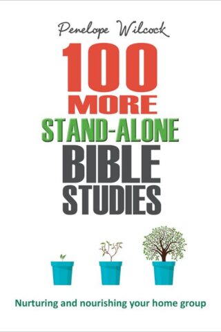 9780857218339 100 More Stand Alone Bible Studies