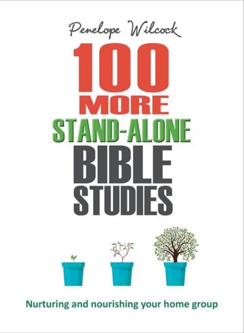 9780857218339 100 More Stand Alone Bible Studies